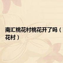 南汇桃花村桃花开了吗（南汇桃花村）