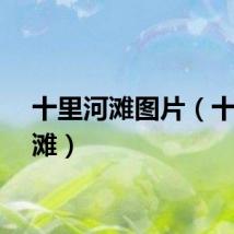 十里河滩图片（十里河滩）
