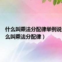 什么叫乘法分配律举例说明（什么叫乘法分配律）