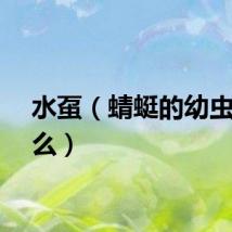 水虿（蜻蜓的幼虫叫什么）