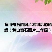 黄山奇石的图片看到后的感受二年级(黄山奇石图片二年级)