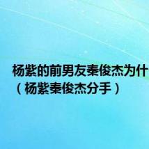 杨紫的前男友秦俊杰为什么分手（杨紫秦俊杰分手）