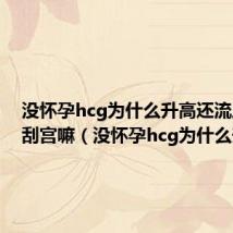 没怀孕hcg为什么升高还流血需要刮宫嘛（没怀孕hcg为什么升高）
