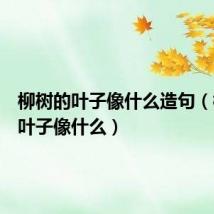 柳树的叶子像什么造句（柳树的叶子像什么）