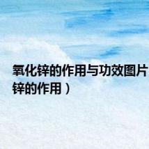 氧化锌的作用与功效图片(氧化锌的作用)