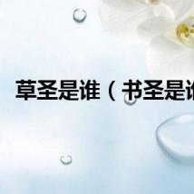 草圣是谁（书圣是谁）