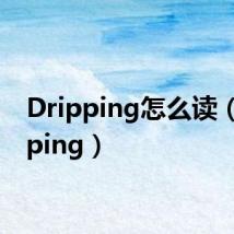 Dripping怎么读（dripping）