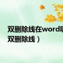 双删除线在word哪里（双删除线）