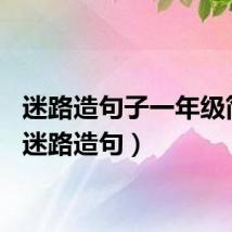 迷路造句子一年级简单（迷路造句）