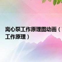 离心泵工作原理图动画（离心泵工作原理）