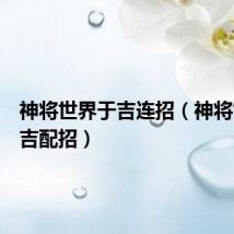 神将世界于吉连招（神将世界于吉配招）