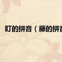 盯的拼音（藤的拼音）