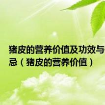 猪皮的营养价值及功效与作用禁忌(猪皮的营养价值)
