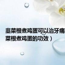 韭菜根煮鸡蛋可以治牙痛吗（韭菜根煮鸡蛋的功效）