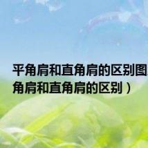 平角肩和直角肩的区别图片(平角肩和直角肩的区别)