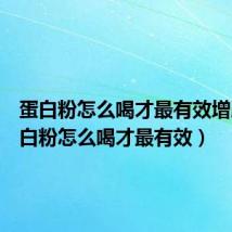 蛋白粉怎么喝才最有效增肥(蛋白粉怎么喝才最有效)