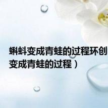 蝌蚪变成青蛙的过程环创（蝌蚪变成青蛙的过程）