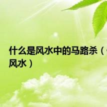 什么是风水中的马路杀（什么是风水）