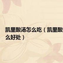 凯里酸汤怎么吃(凯里酸汤有什么好处)