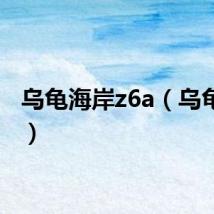 乌龟海岸z6a（乌龟海岸）