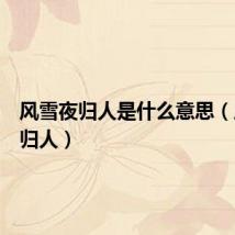 风雪夜归人是什么意思（风雨夜归人）