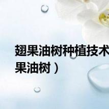翅果油树种植技术(翅果油树)