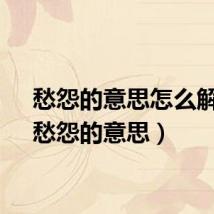 愁怨的意思怎么解释（愁怨的意思）
