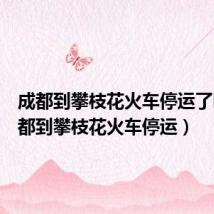 成都到攀枝花火车停运了吗(成都到攀枝花火车停运)