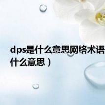 dps是什么意思网络术语（dps什么意思）