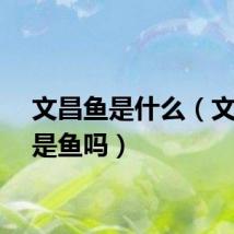 文昌鱼是什么（文昌鱼是鱼吗）