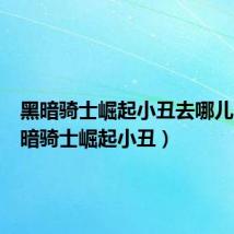 黑暗骑士崛起小丑去哪儿了（黑暗骑士崛起小丑）