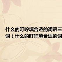 什么的叮咛填合适的词语三年级动词(什么的叮咛填合适的词)