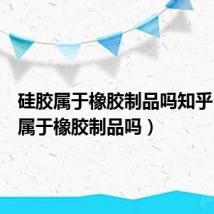 硅胶属于橡胶制品吗知乎(硅胶属于橡胶制品吗)