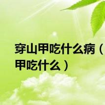 穿山甲吃什么病（穿山甲吃什么）