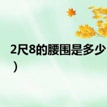 2尺8的腰围是多少（2尺）
