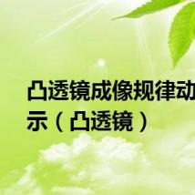 凸透镜成像规律动画演示（凸透镜）
