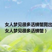 女人梦见很多活螃蟹爬出洞了（女人梦见很多活螃蟹）