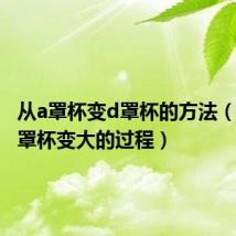 从a罩杯变d罩杯的方法（从a到f罩杯变大的过程）