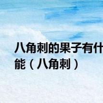 八角刺的果子有什么功能（八角刺）
