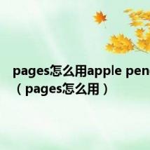 pages怎么用apple pencil写字(pages怎么用)