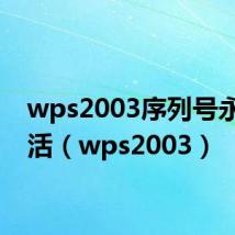 wps2003序列号永久激活（wps2003）