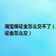 淘宝保证金怎么交不了(淘宝保证金怎么交)