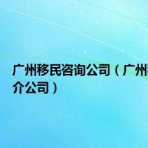 广州移民咨询公司(广州移民中介公司)
