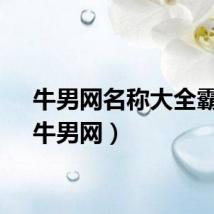 牛男网名称大全霸气（牛男网）