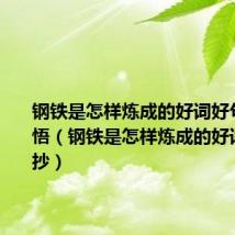 钢铁是怎样炼成的好词好句摘抄感悟(钢铁是怎样炼成的好词好句摘抄)