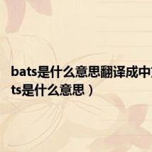 bats是什么意思翻译成中文(bats是什么意思)