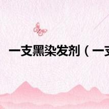 一支黑染发剂（一支）