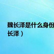 魏长泽是什么身份（魏长泽）