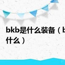 bkb是什么装备(bkb是什么)