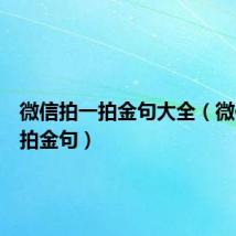 微信拍一拍金句大全（微信拍一拍金句）